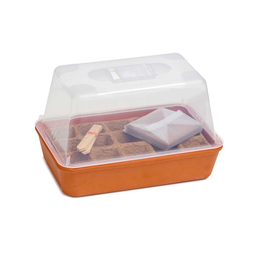 Mini-Gewächshaus-Set 'S' Terracotta 29 x 19 x 19,5 cm mit Deckel
