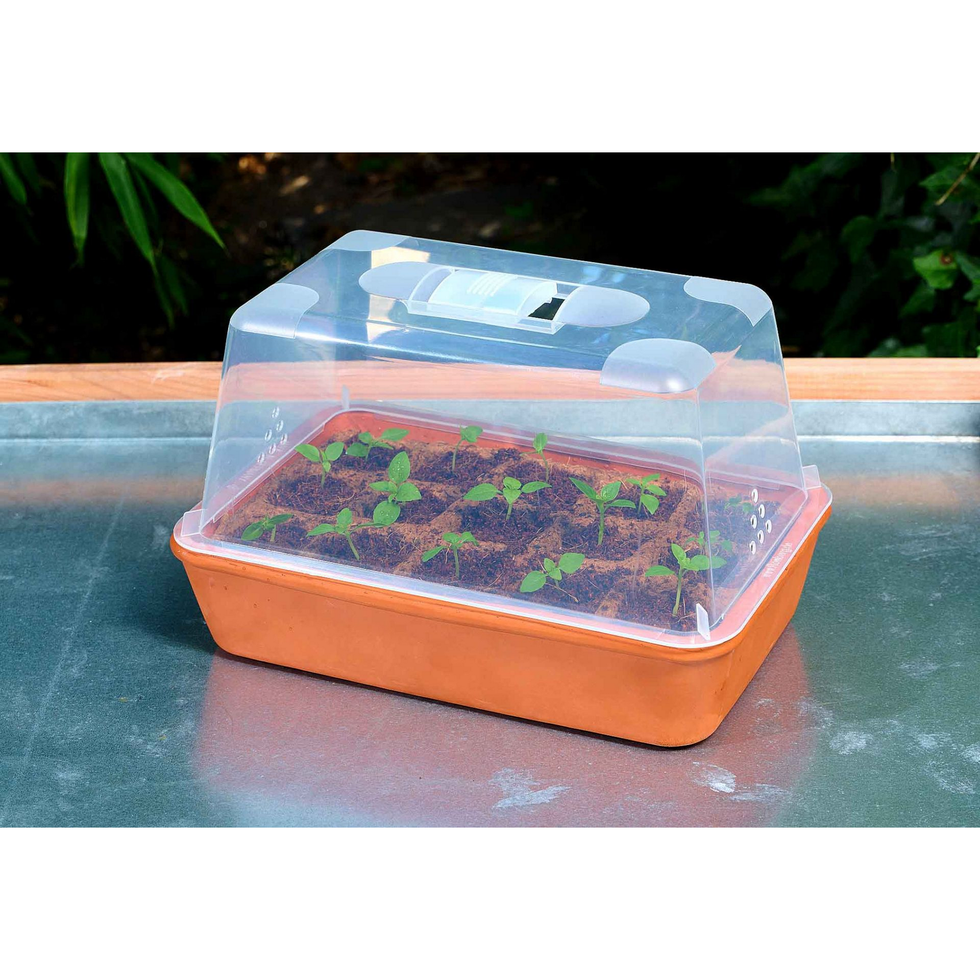 Mini-Gewächshaus-Set 'S' Terracotta 29 x 19 x 19,5 cm mit Deckel