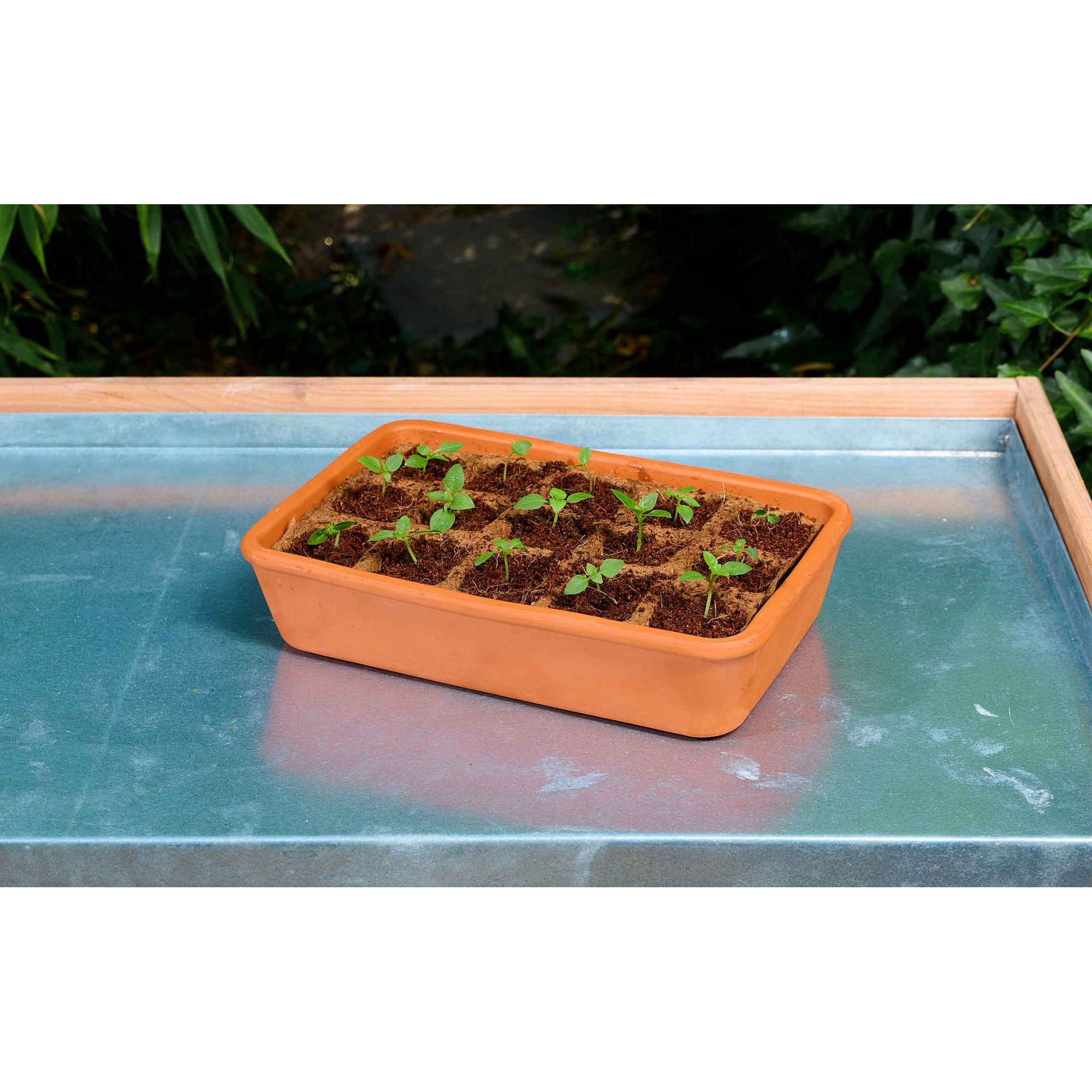 Anzuchtschale 'S' Terracotta 29 x 6,5 x 19 cm