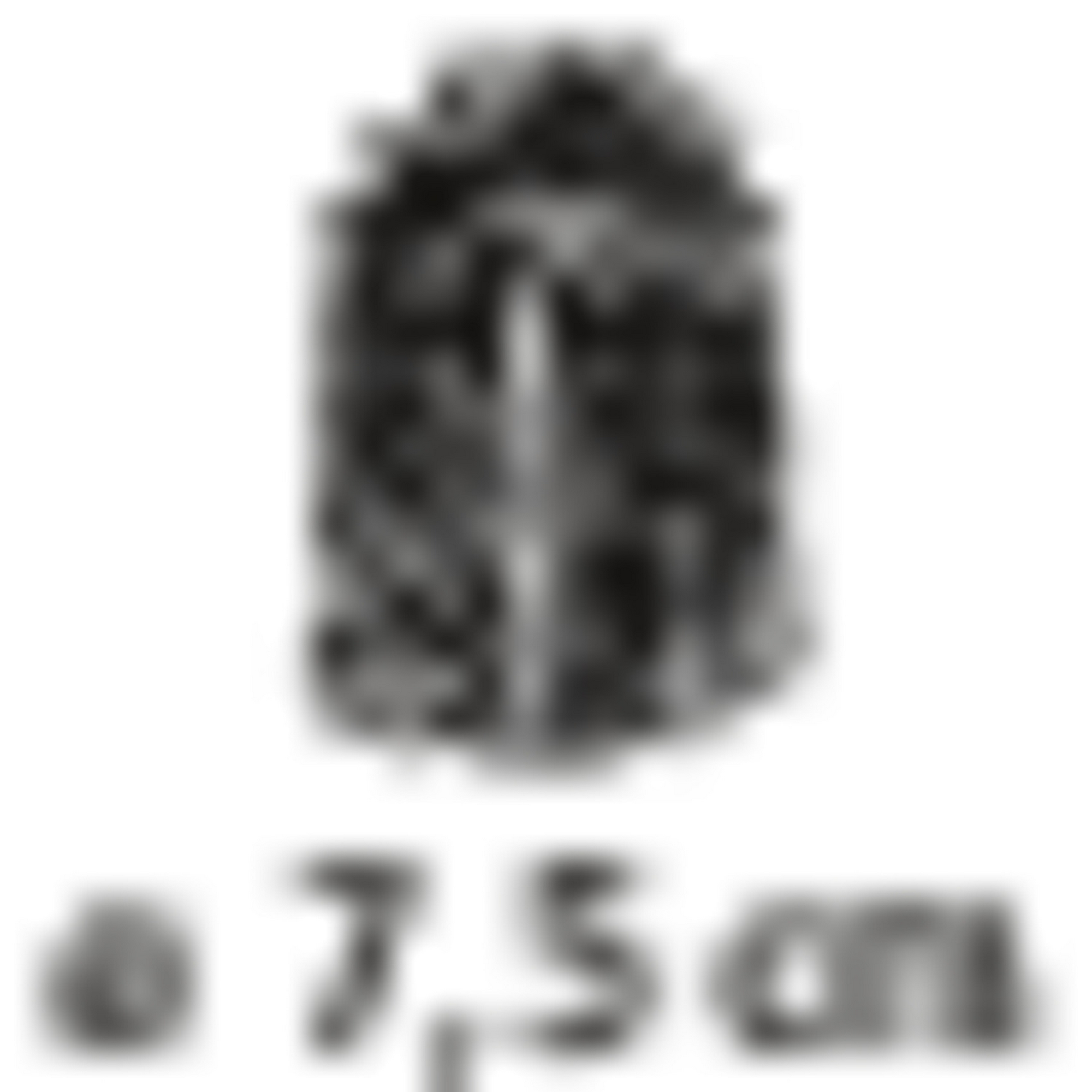 WC-Garnitur 'Bosio' Edelstahl schwarz matt