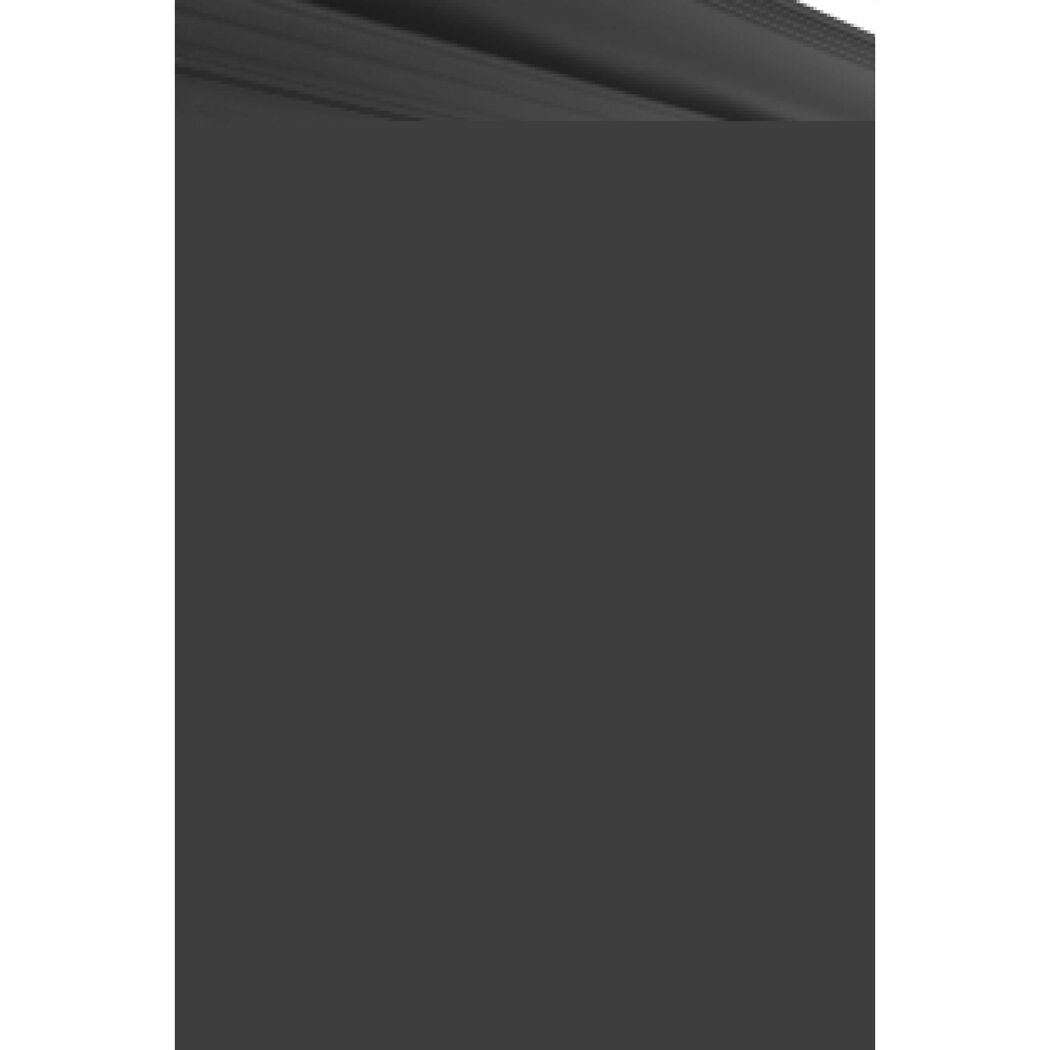 Carport anthrazit 300 x 505 x 219 cm