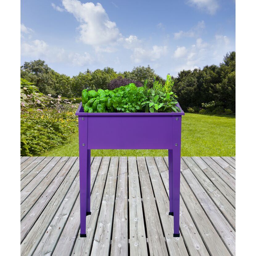 Hochbeet 'Season' lila 60 x 80 x 30 cm