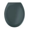 WC-Sitz 'Ottana' mit Absenkautomatik dunkelgrau Duroplast