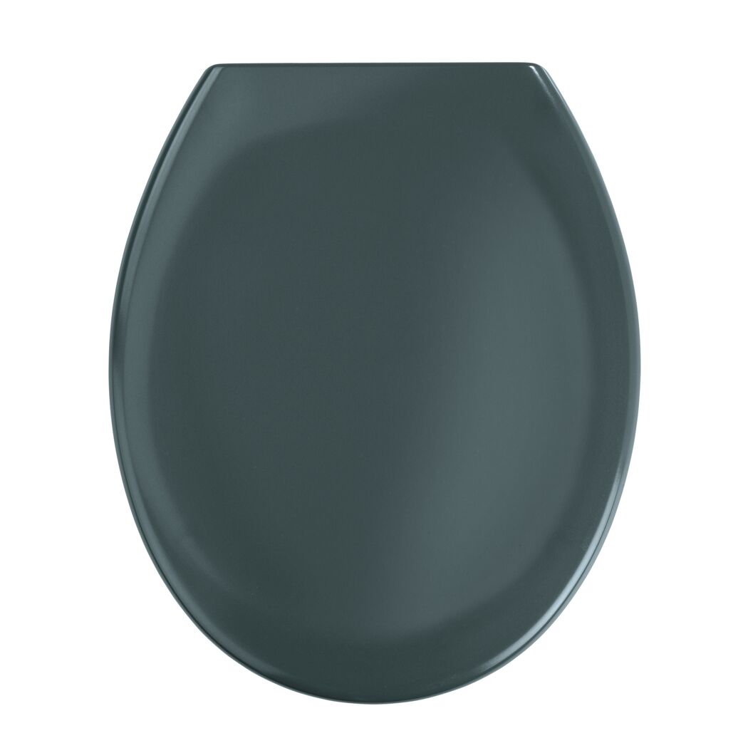 WC-Sitz 'Ottana' mit Absenkautomatik dunkelgrau Duroplast