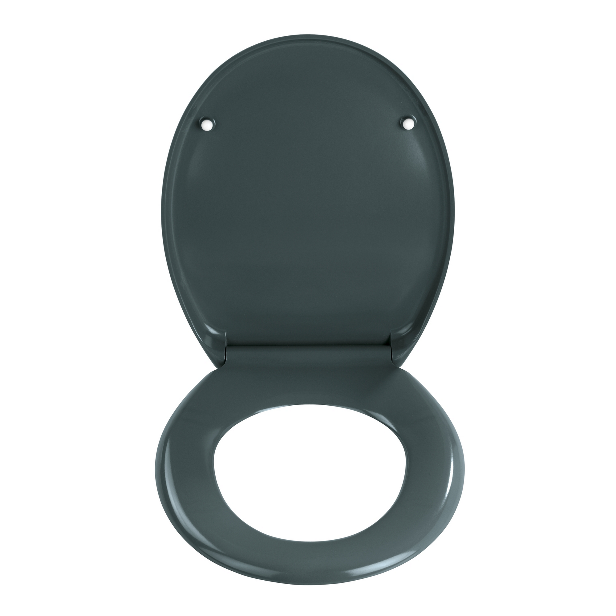 WC-Sitz 'Ottana' mit Absenkautomatik dunkelgrau Duroplast