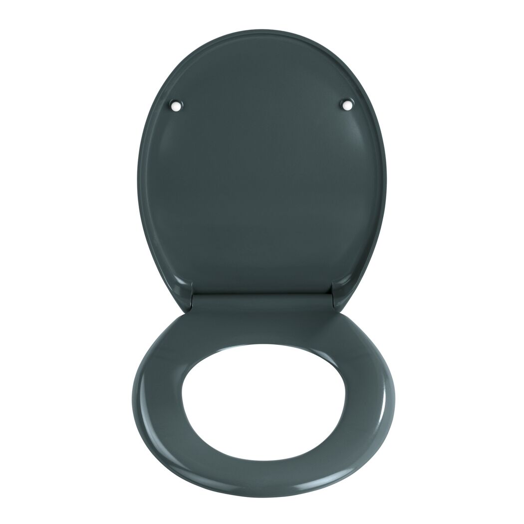 WC-Sitz 'Ottana' mit Absenkautomatik dunkelgrau Duroplast