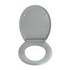 WC-Sitz 'Ottana' mit Absenkautomatik hellgrau Duroplast