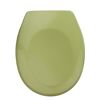 WC-Sitz 'Bergamo' grün Duroplast