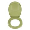 WC-Sitz 'Bergamo' grün Duroplast