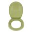 WC-Sitz 'Bergamo' grün Duroplast