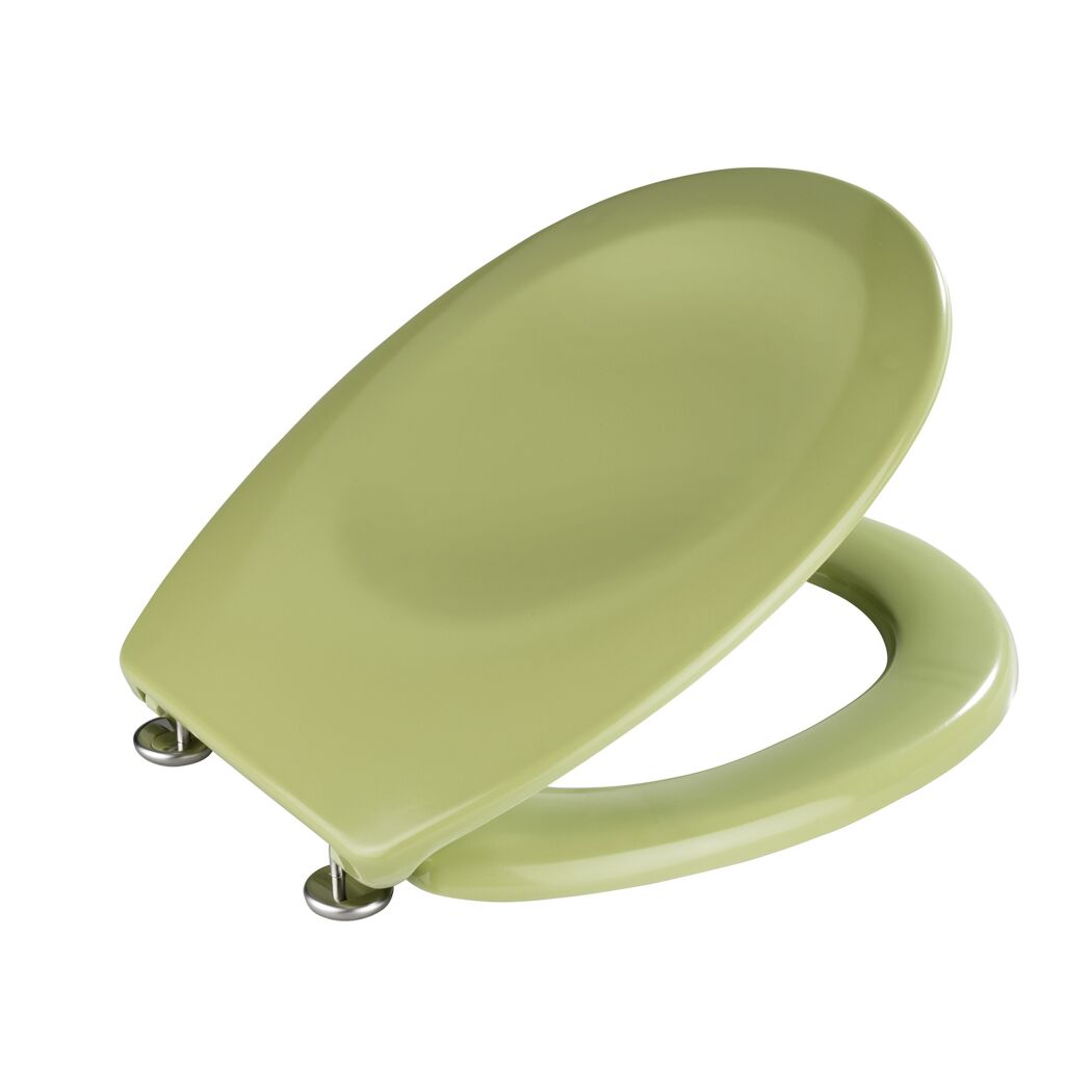 WC-Sitz 'Bergamo' grün Duroplast