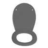 WC-Sitz 'Vorno' mit Absenkautomatik grau Duroplast