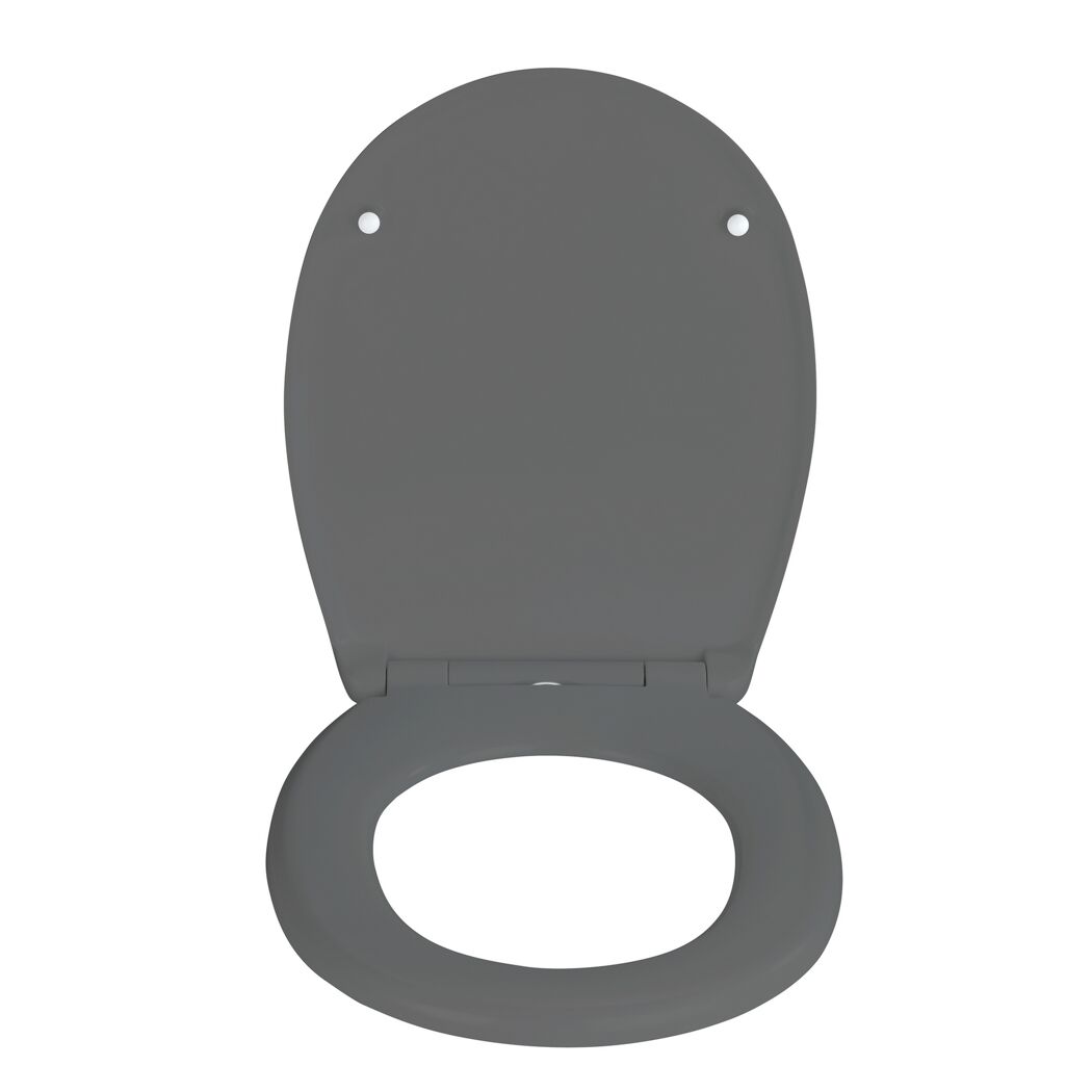 WC-Sitz 'Vorno' mit Absenkautomatik grau Duroplast