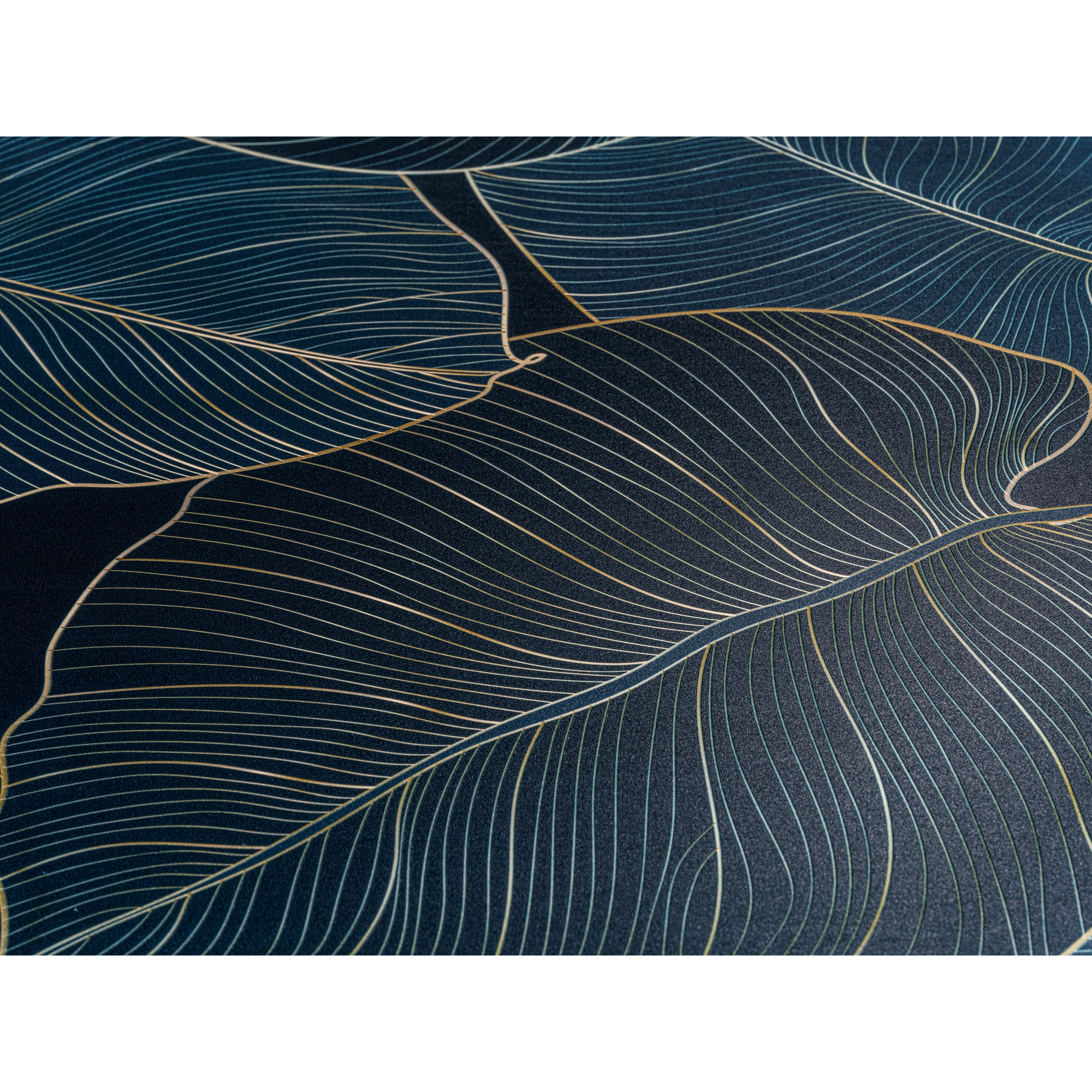 WC-Sitz mit Absenkautomatik mehrfarbig Duroplast