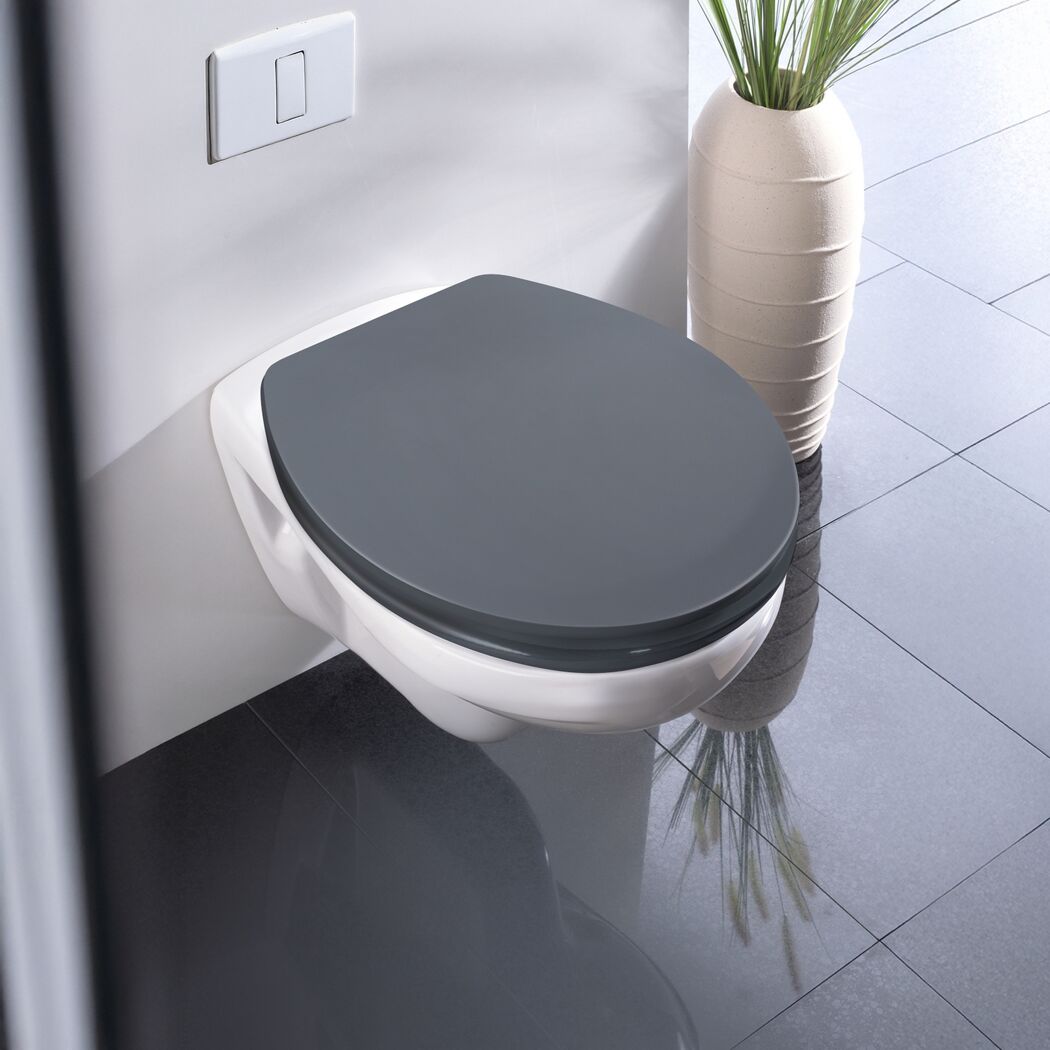 WC-Sitz 'Ostuni' mit Absenkautomatik grau Thermoplast