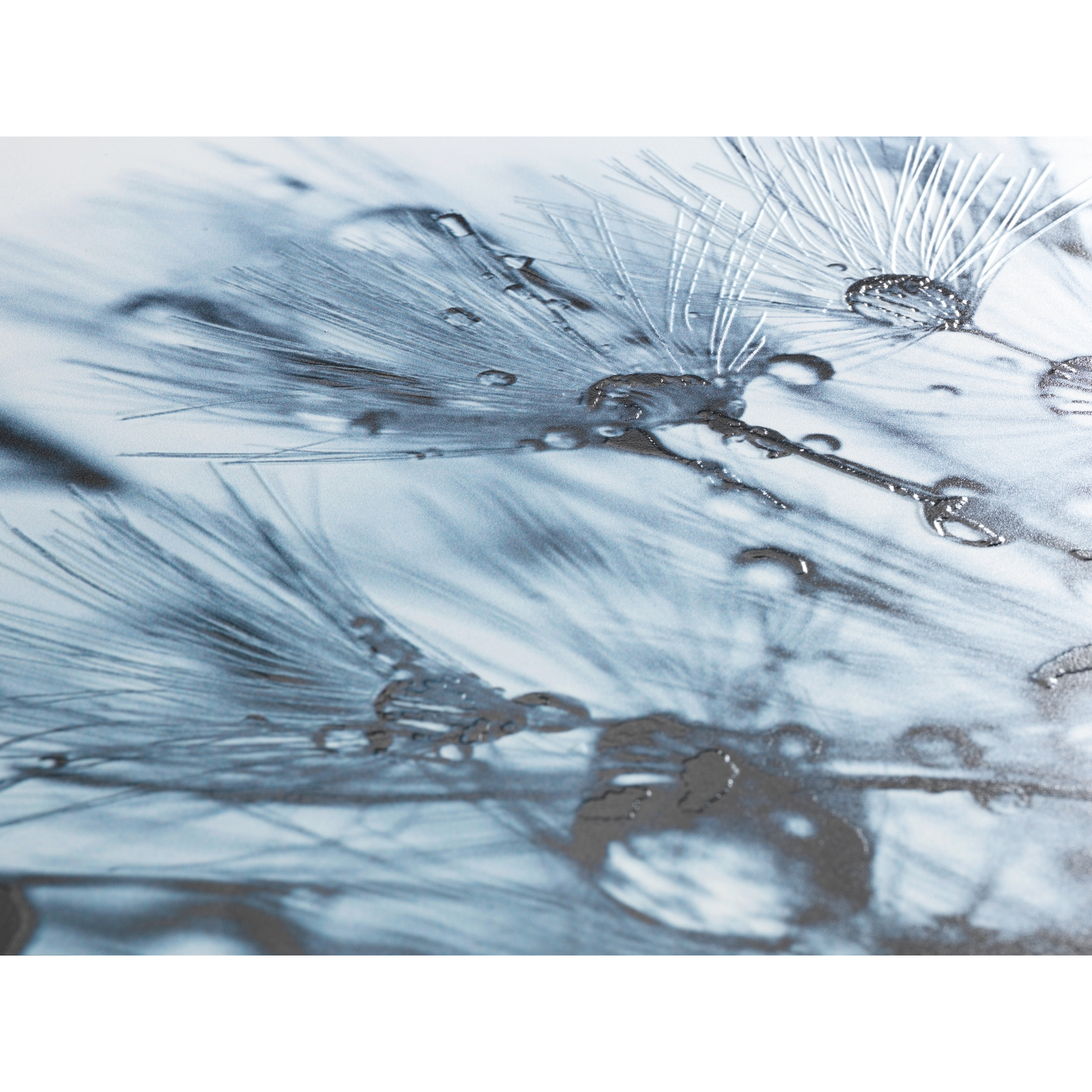 WC-Sitz 'Sereno' mit Absenkautomatik mehrfarbig Thermoplast