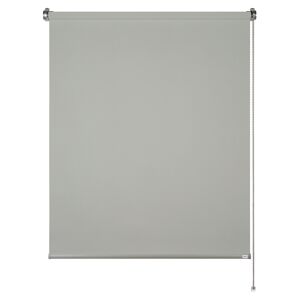 Tageslichtrollo 'Tizia' hellgrau 80 x 210 cm