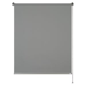 Tageslichtrollo 'Tizia' anthrazit 60 x 150 cm