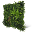Wandpaneel 'Modular Wall 11123 Feral Green Mixed Flora' grün 52 x 52 cm
