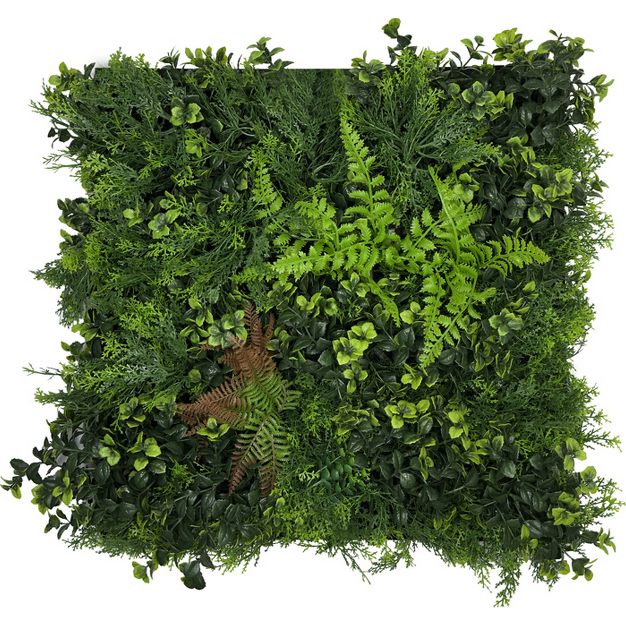 Wandpaneel 'Modular Wall 11123 Feral Green Mixed Flora' grün 52 x 52 cm