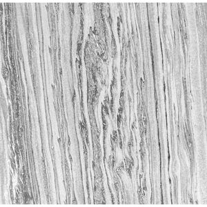 Wandpaneel 'Modular Wall 11305A Arctic Marble Stone' grau 52 x 52 cm