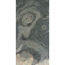 Wandpaneel 'Modular Wall 11301B Patina Slate Stone' grau 52 x 104 cm