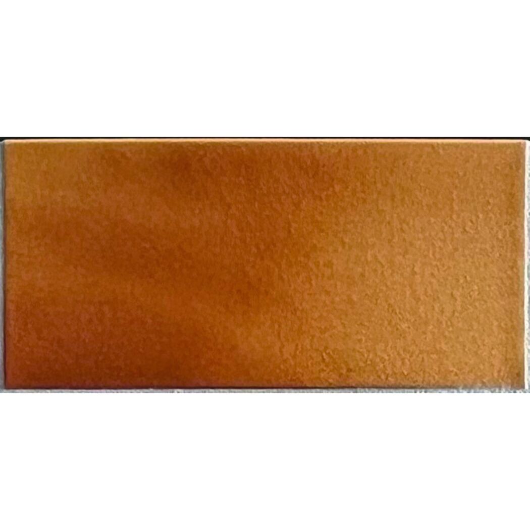 Bodenfliese 'Herbstlaub' Spaltplatte 24 x 11,5 x 1 cm