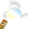 LED-Deckenventilator mit Beleuchtung 'Ravan' dimmbar 1300 lm RGB - tunable white Ø 44 x 16,5 cm