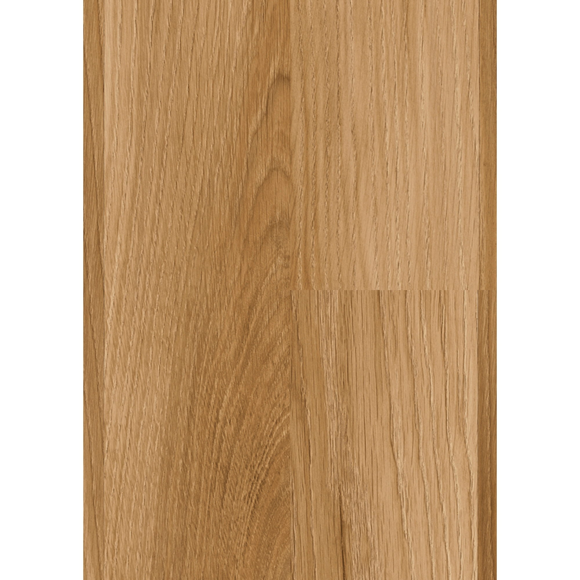 Laminat '832-0' 2-Stab Eiche natur 8 mm