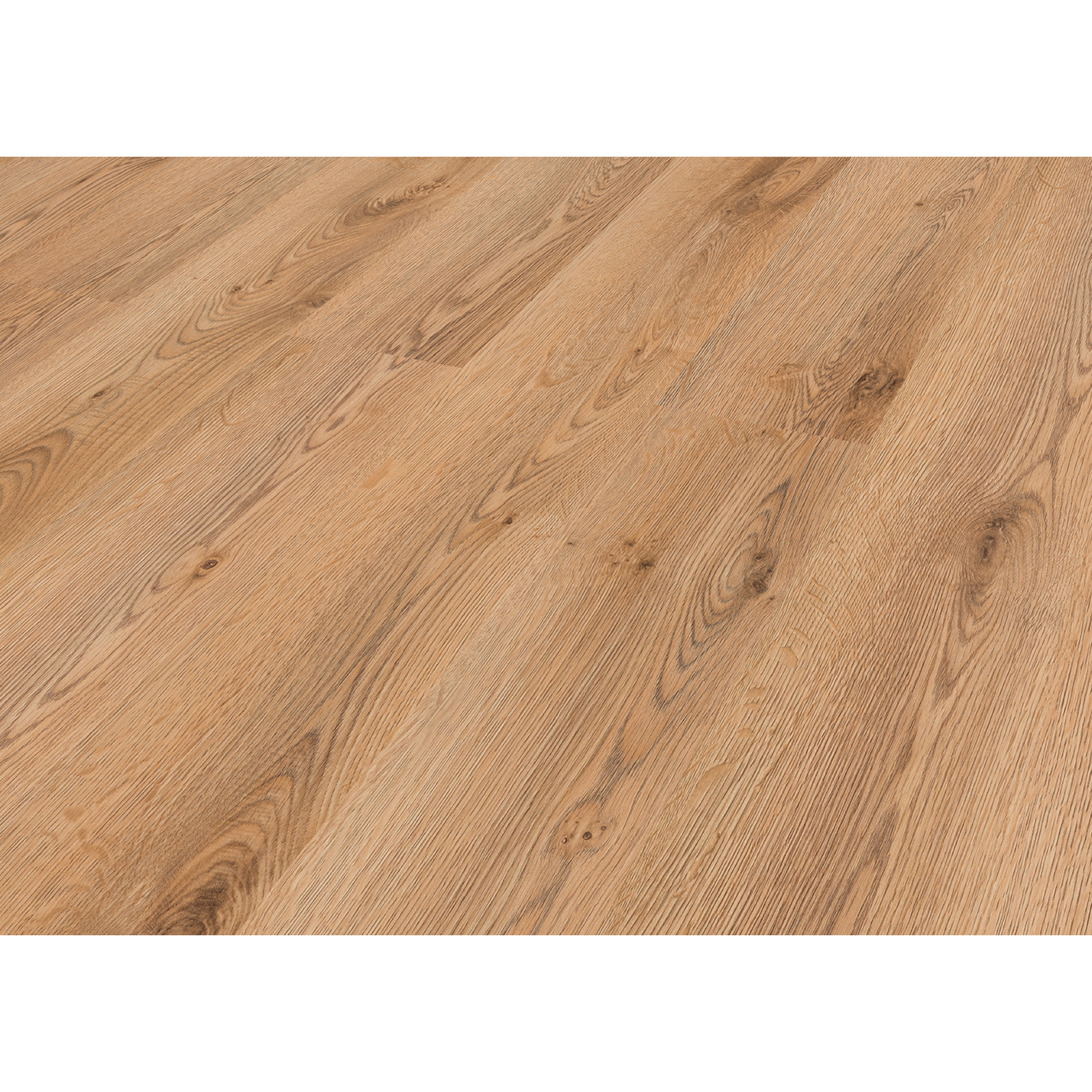 Laminat '832-0' Eiche natur-beige 8 mm