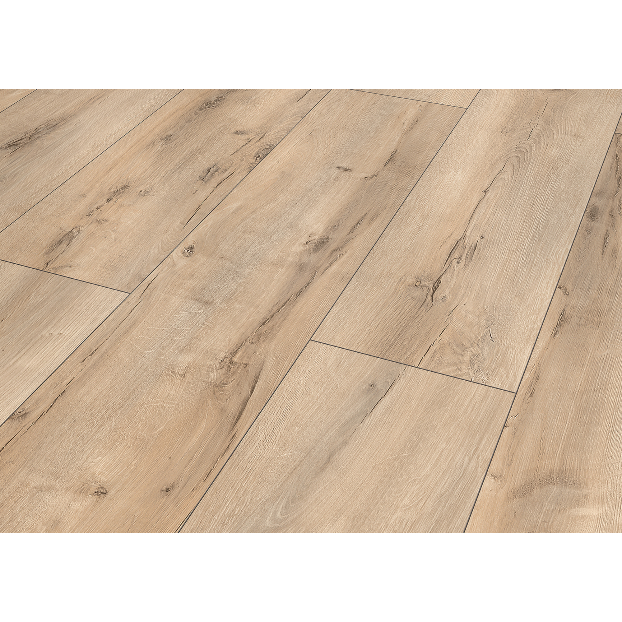 Laminat '832-4' Eiche rustikal beige 8 mm