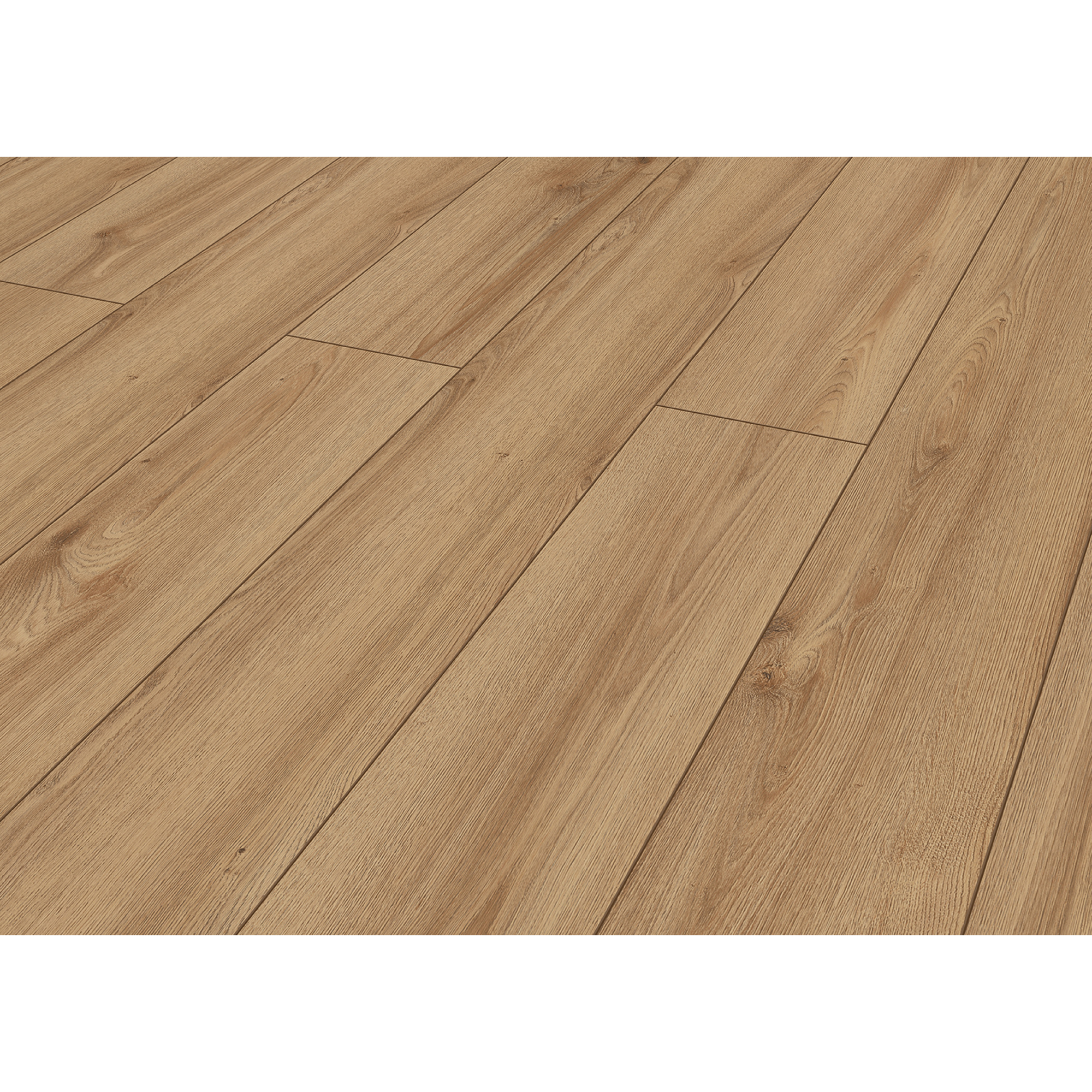 Laminat '832-4' Hillcrest Eiche hell-natur wasserresistent 8 mm