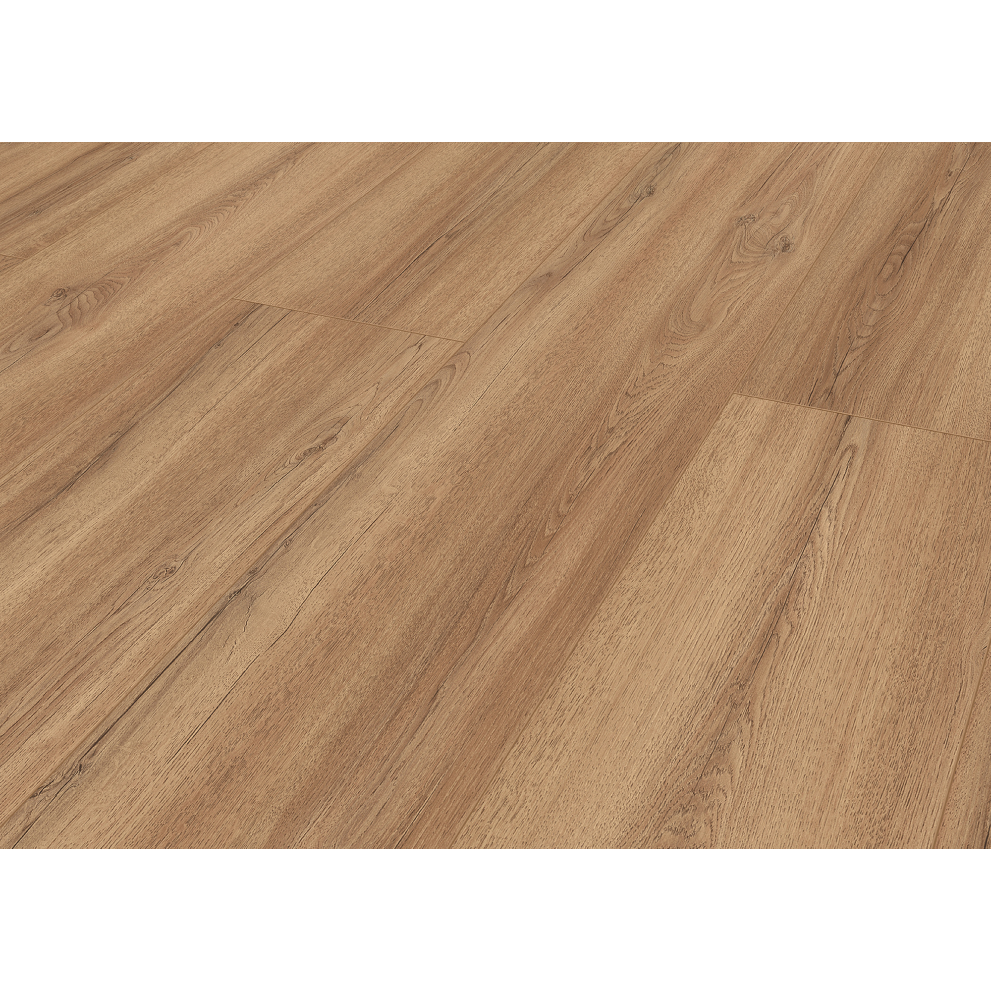 Laminat '832-4' Echovale Eiche hellbraun wasserresistent 8 mm