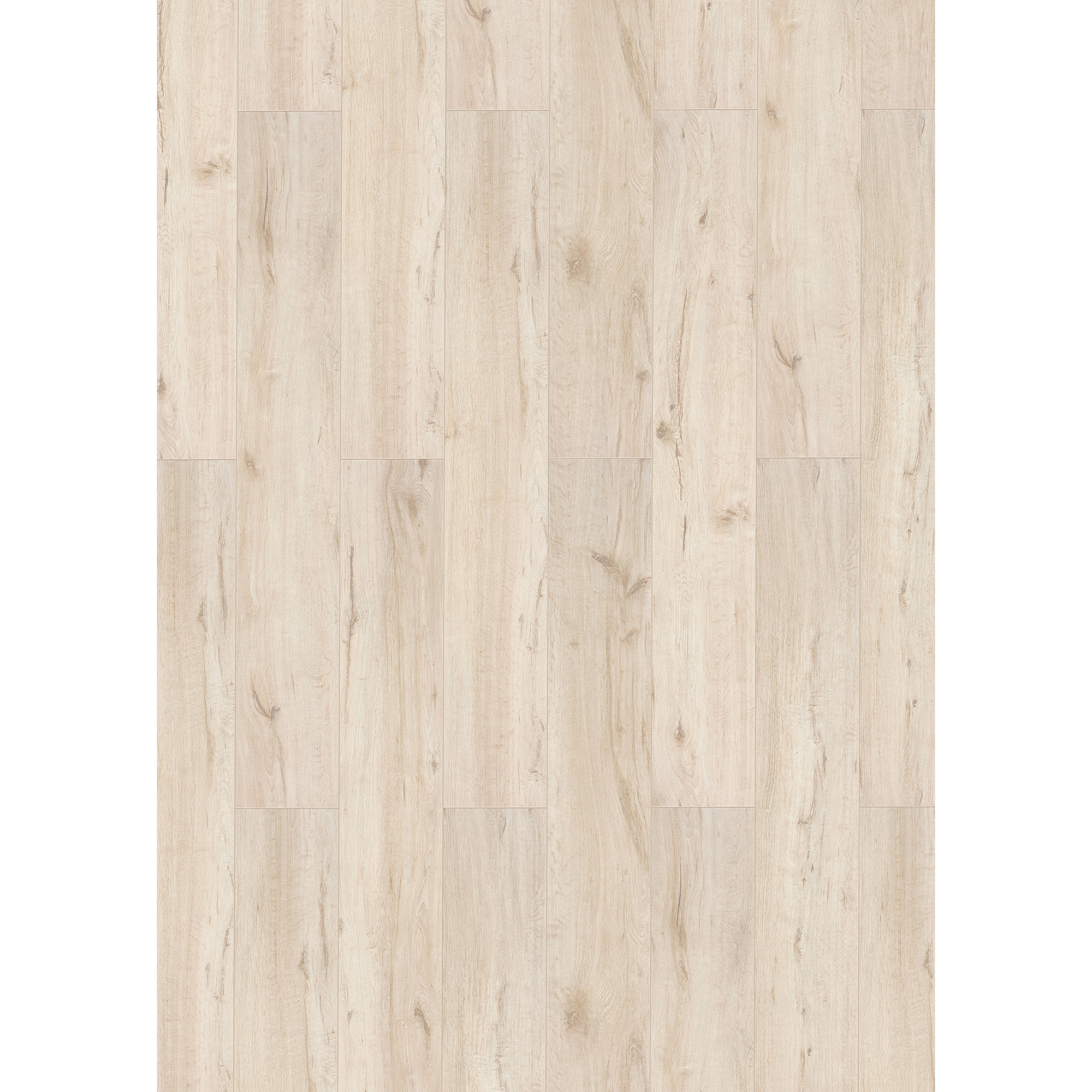 Laminat '832-4 XL' Eiche weiß 8 mm