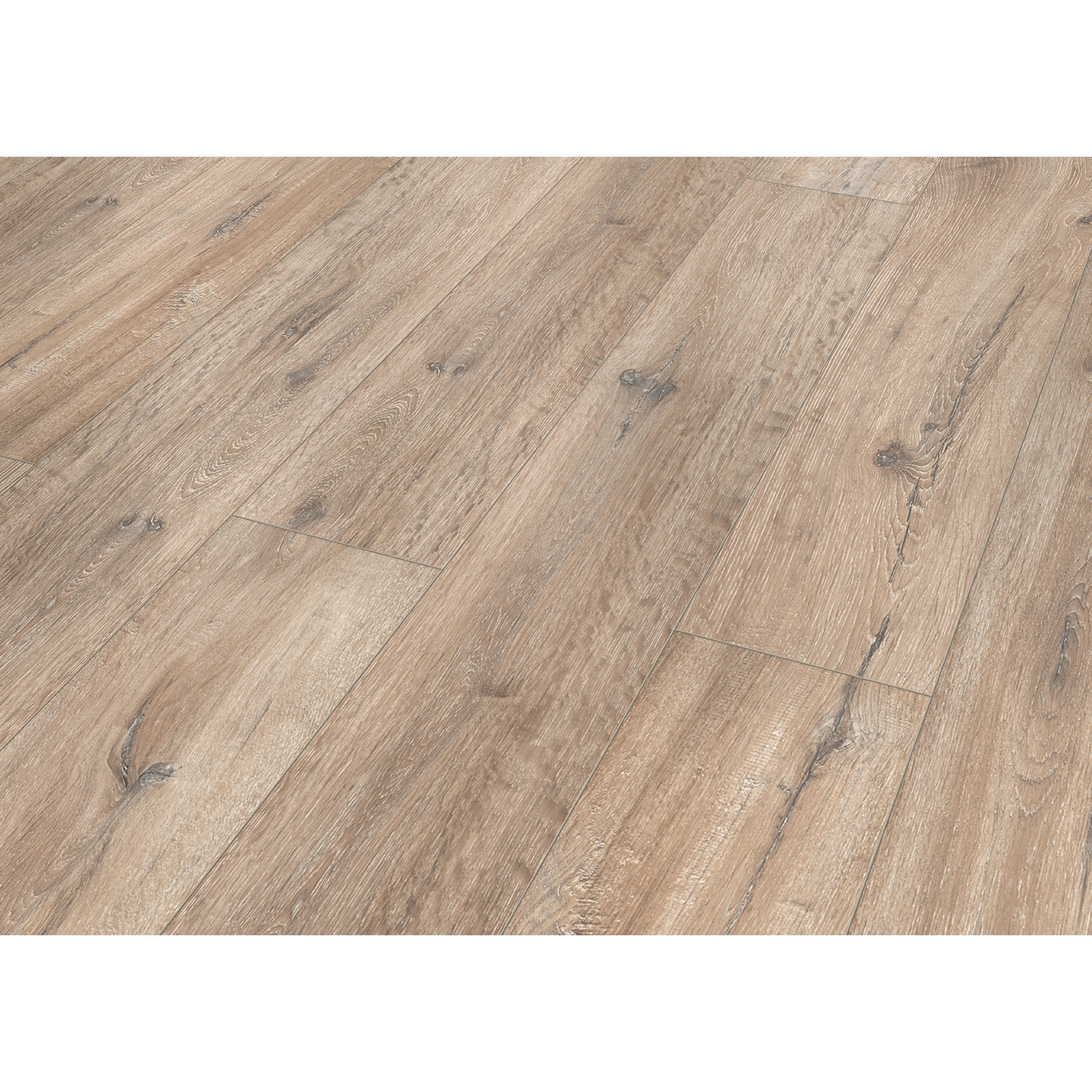 Laminta '832-4 XL' Eiche grau-braun wasserresistent 8 mm