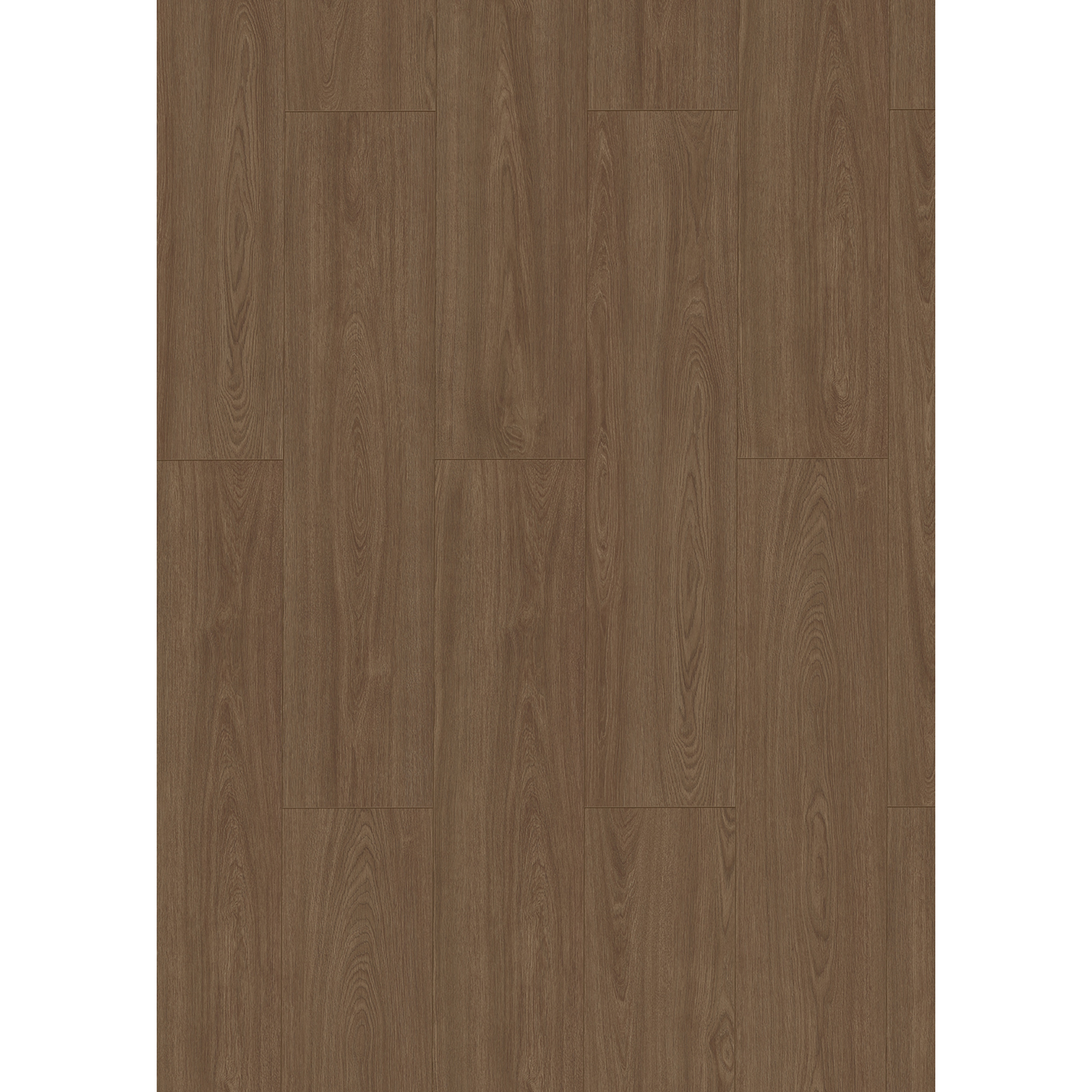 Laminat '833-4 XL' Zara Eiche dunkelbraun wasserresistent 8 mm