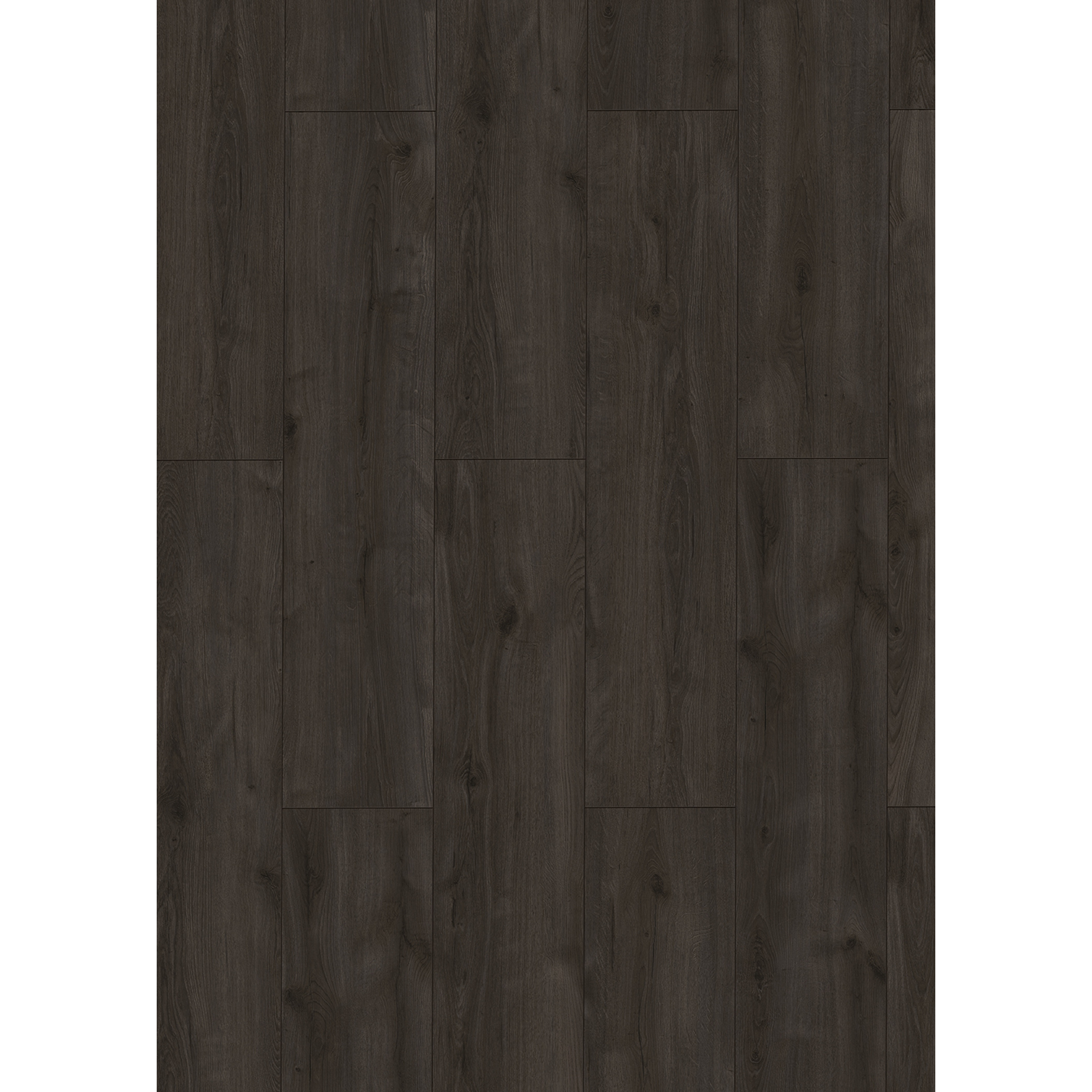 Laminat '833-4 XL' Santos Eiche schwarz wasserresistent 8 mm