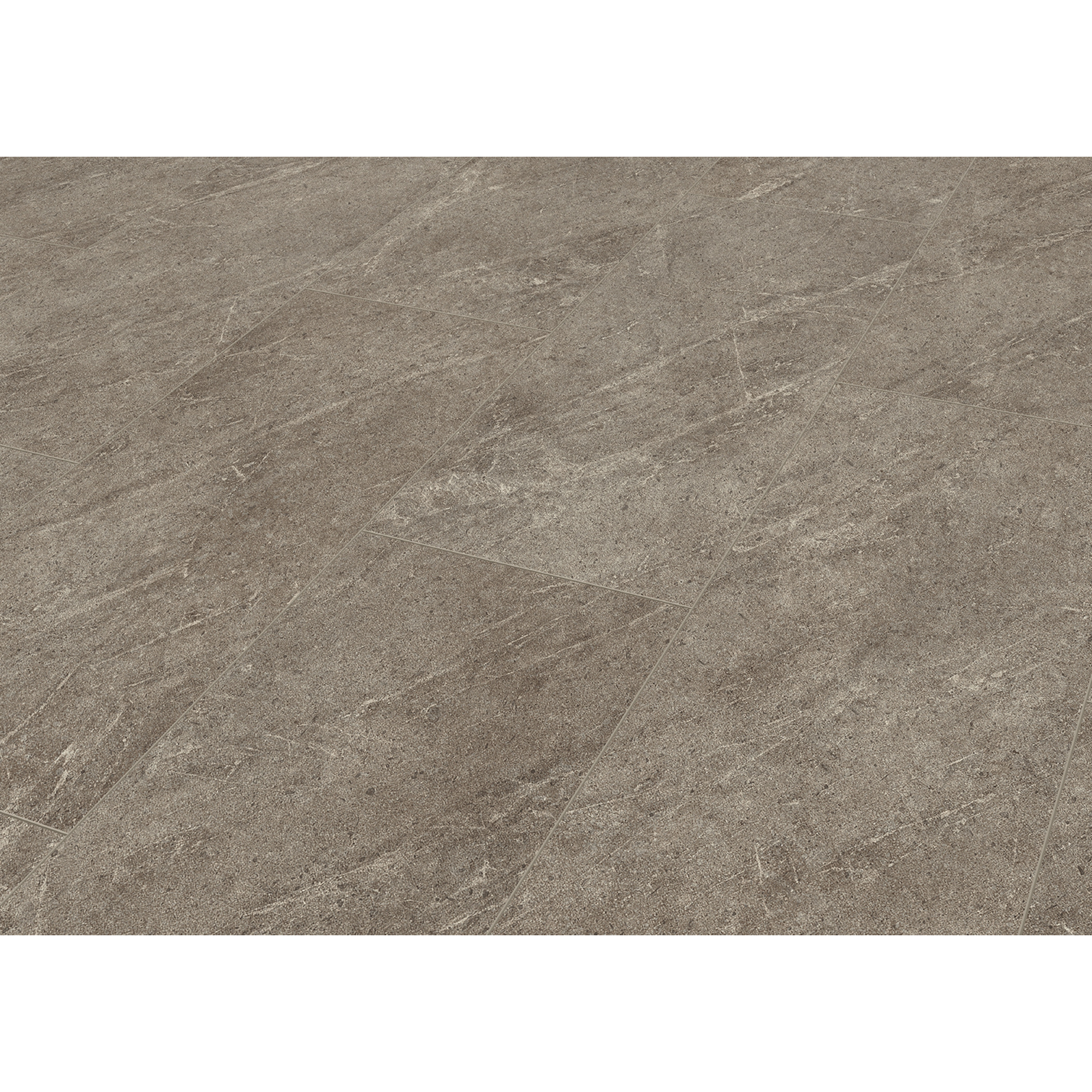 Laminat 'Visio Grande' Dolomit grau wasserresistent 8 mm