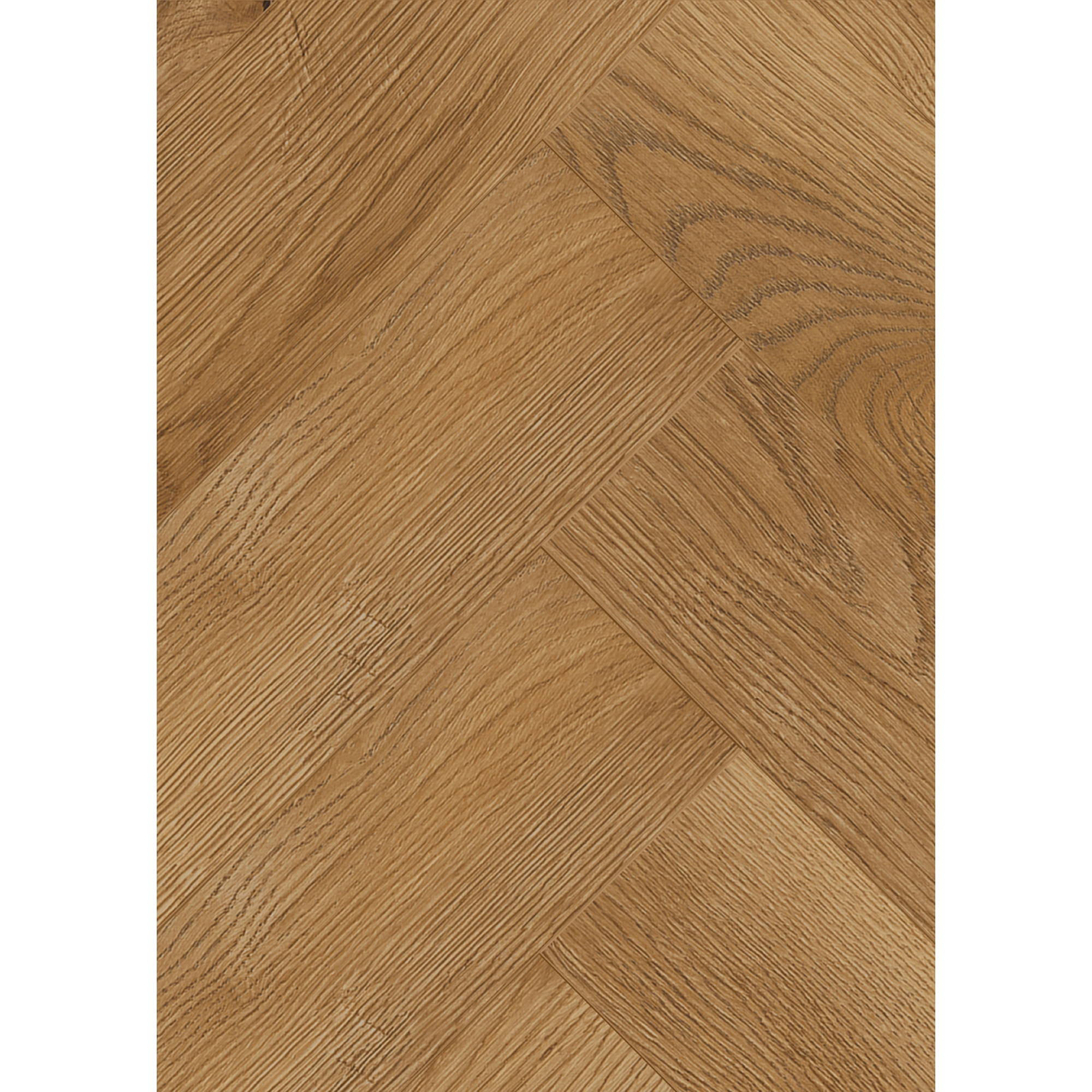 Laminat 'Ville Carrito' Fischgrät Eiche goldfarben 8 mm