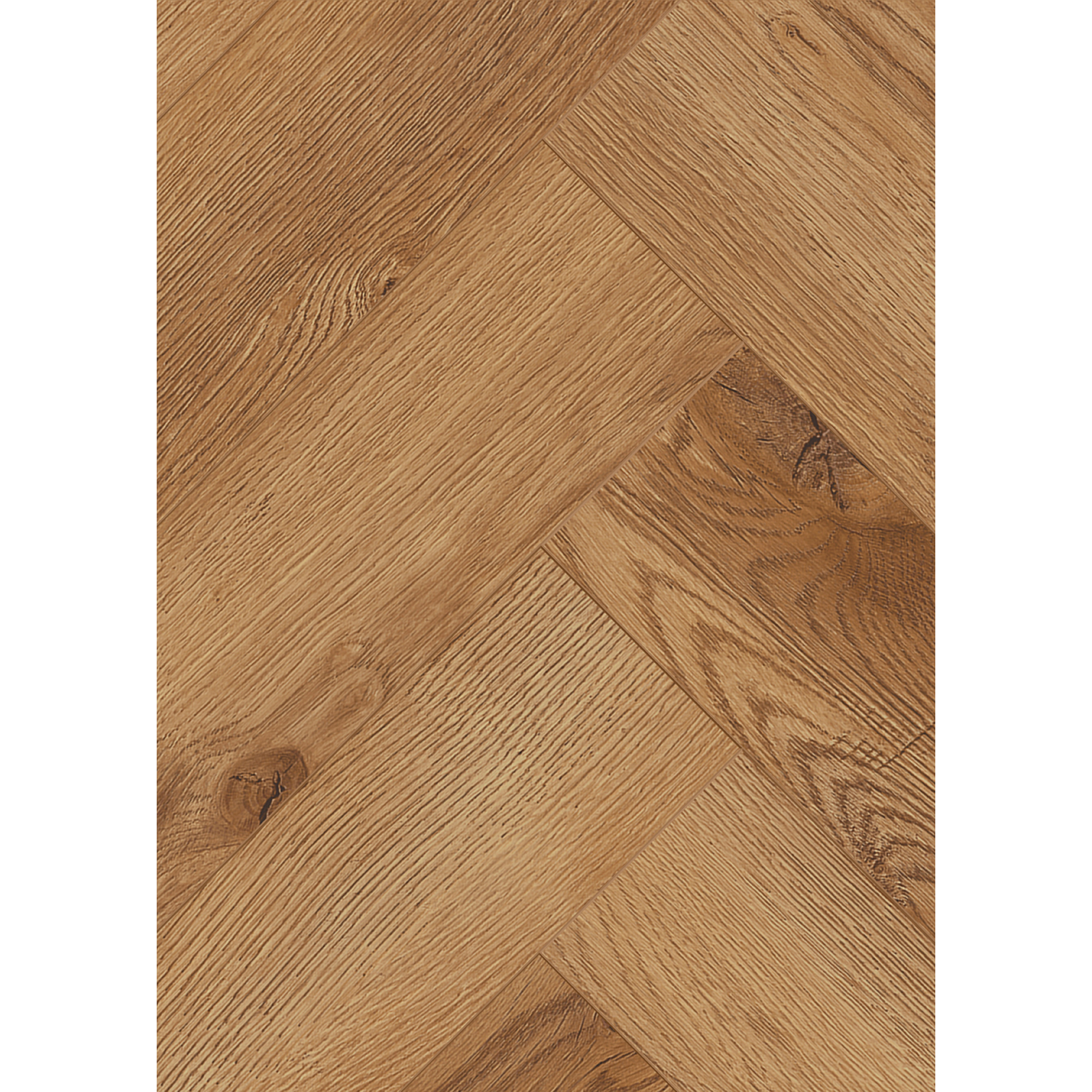 Laminat 'Ville Almagro' Fischgrät Eiche natur 8 mm