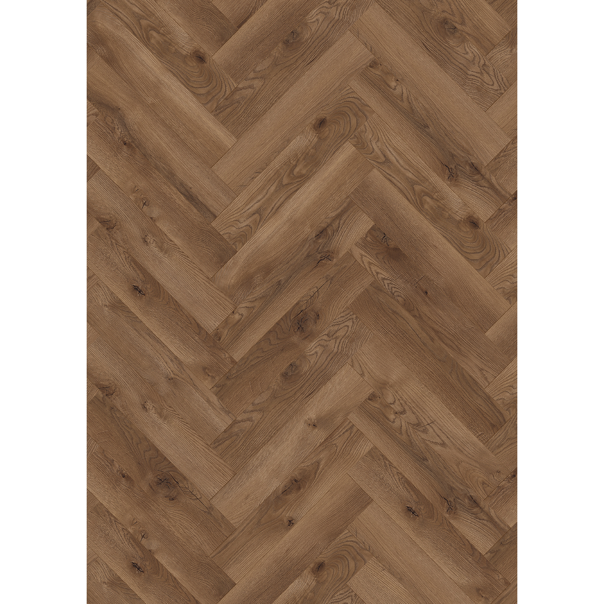 Laminat 'Ville Burriana' Fischgrät Eiche braun 8 mm