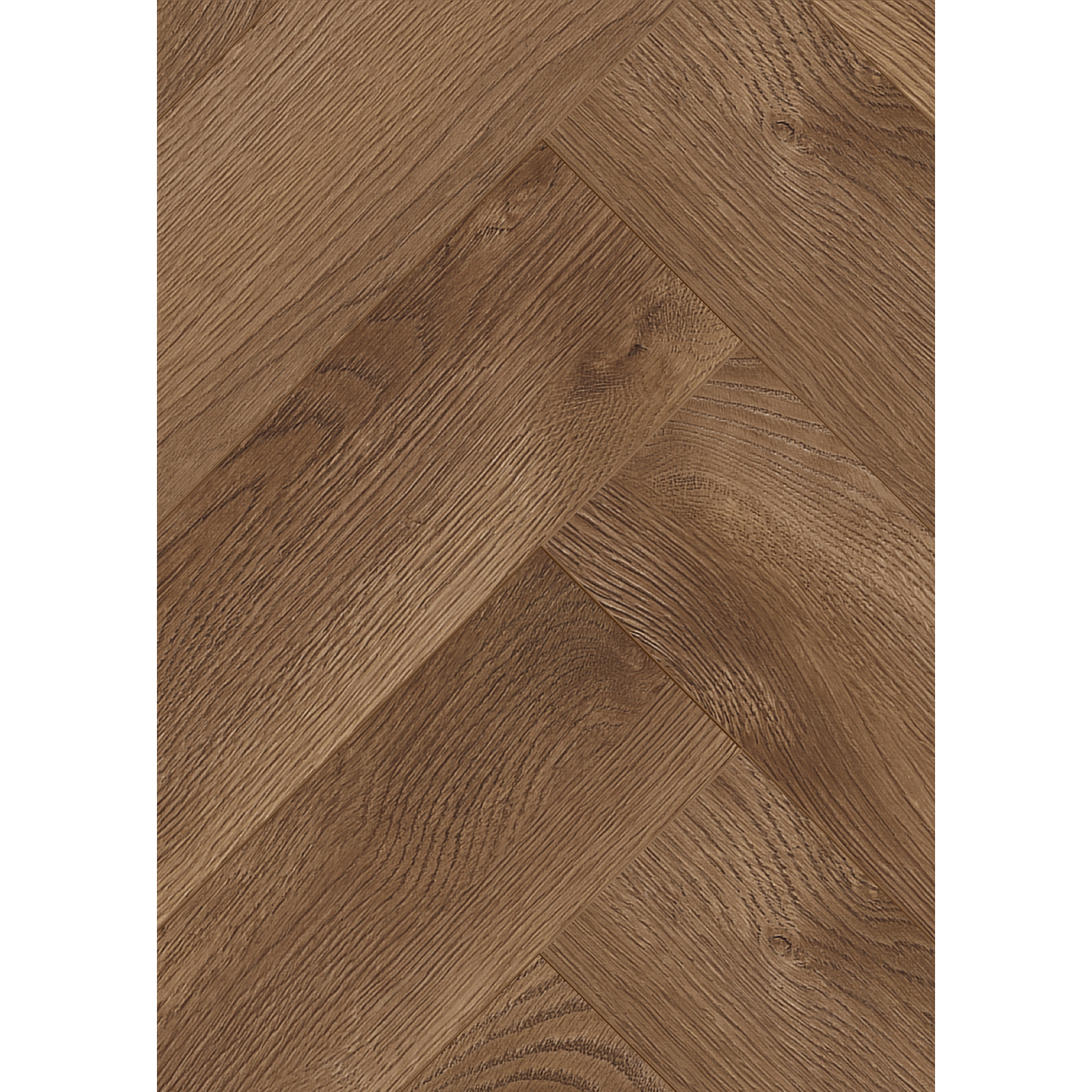 Laminat 'Ville Burriana' Fischgrät Eiche braun 8 mm