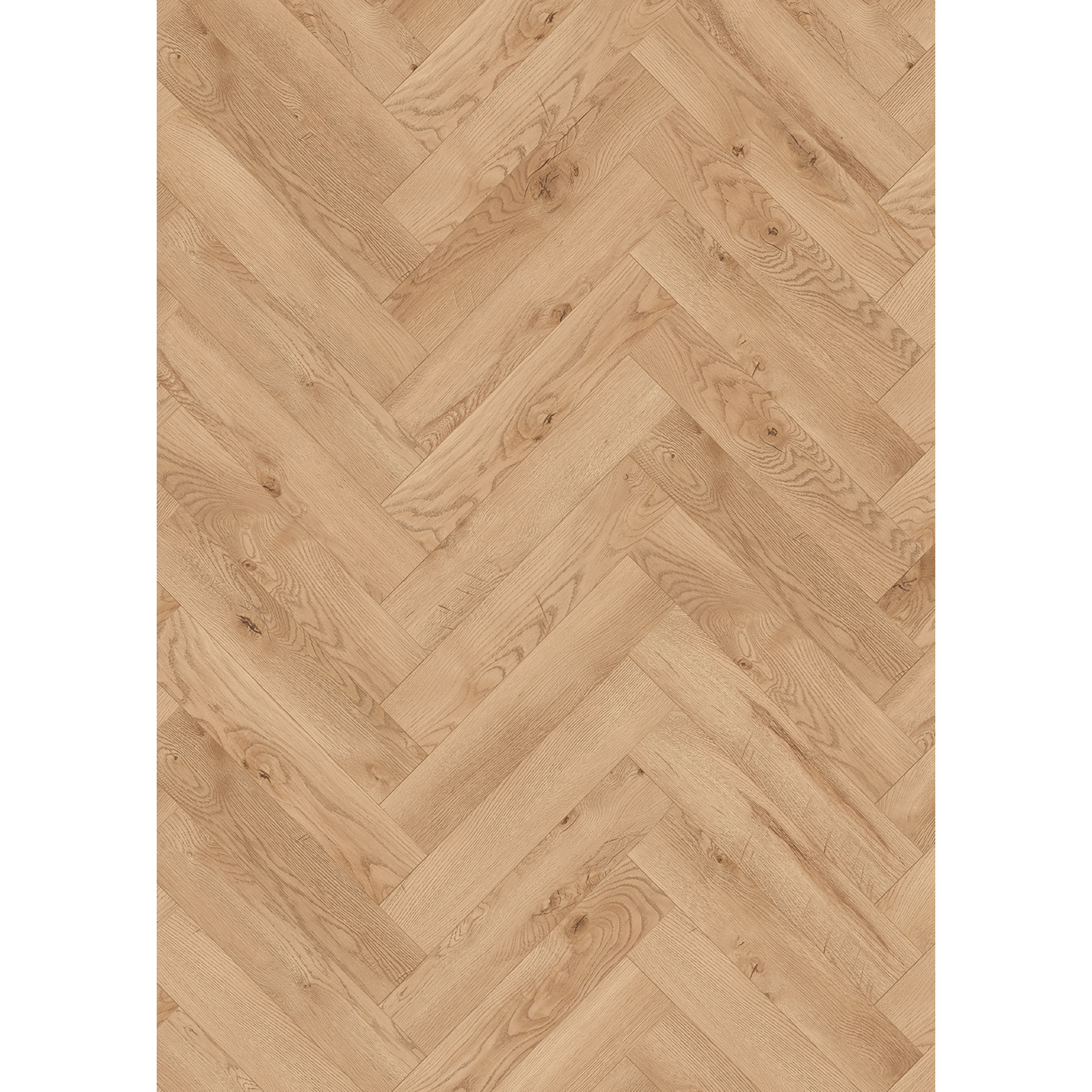 Laminat 'Ville Las Negras' Fischgrät Eiche hellbeige 8 mm