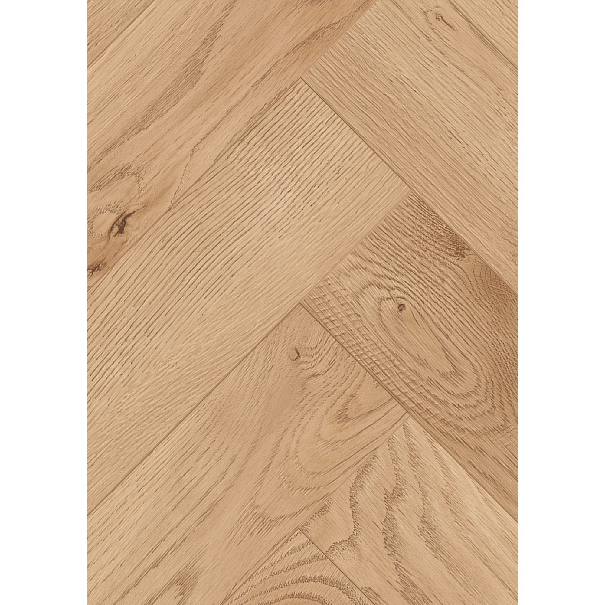 Laminat 'Ville Las Negras' Fischgrät Eiche hellbeige 8 mm