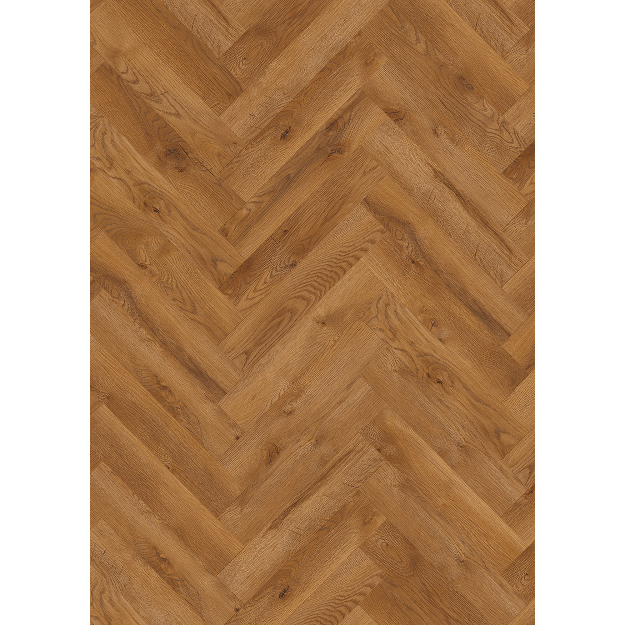 Laminat 'Ville Benicarlo' Fischgrät Eiche honig 8 mm