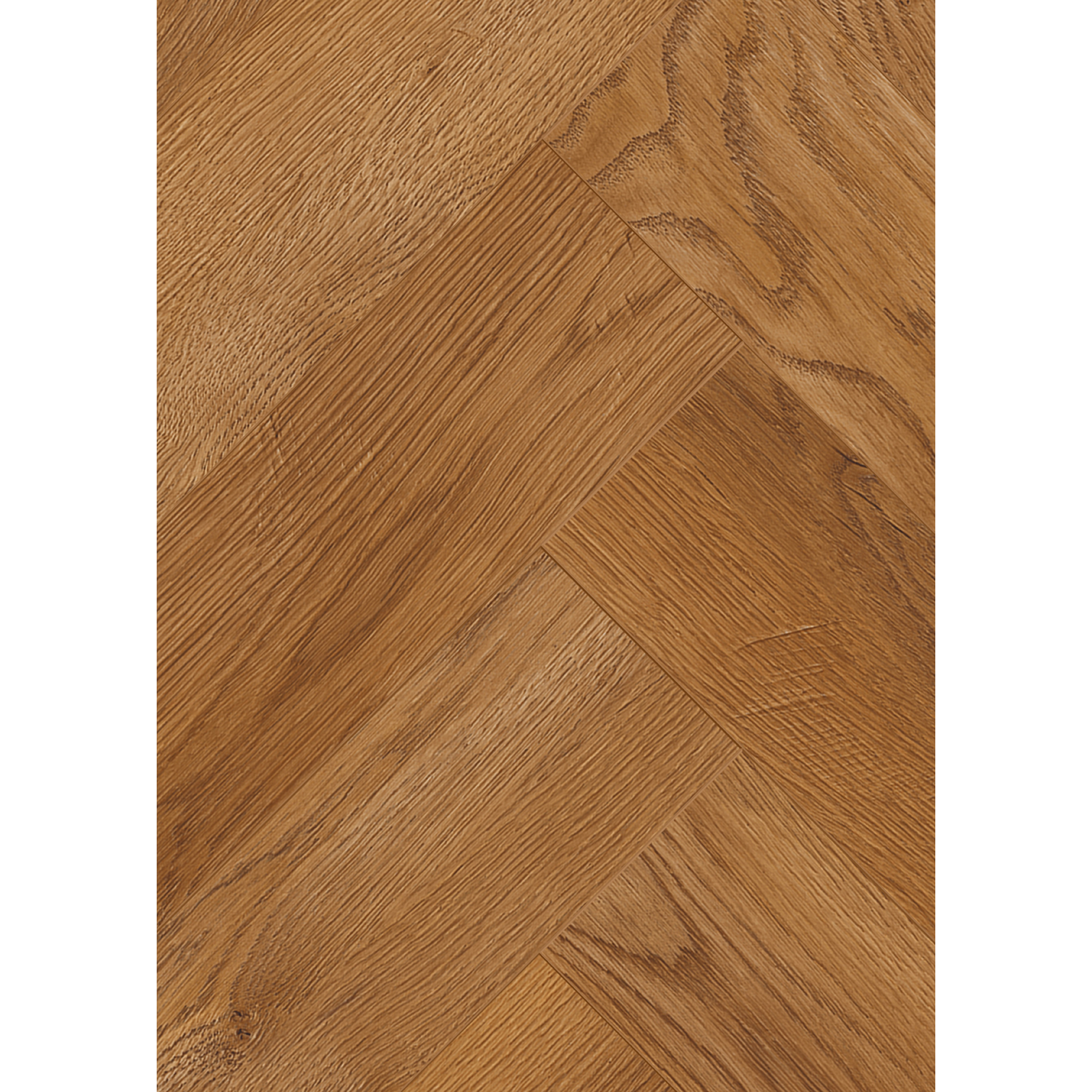 Laminat 'Ville Benicarlo' Fischgrät Eiche honig 8 mm