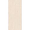 Wandpaneel 'Rock the Wall' Sandstone 265 x 123 x 0,4 cm