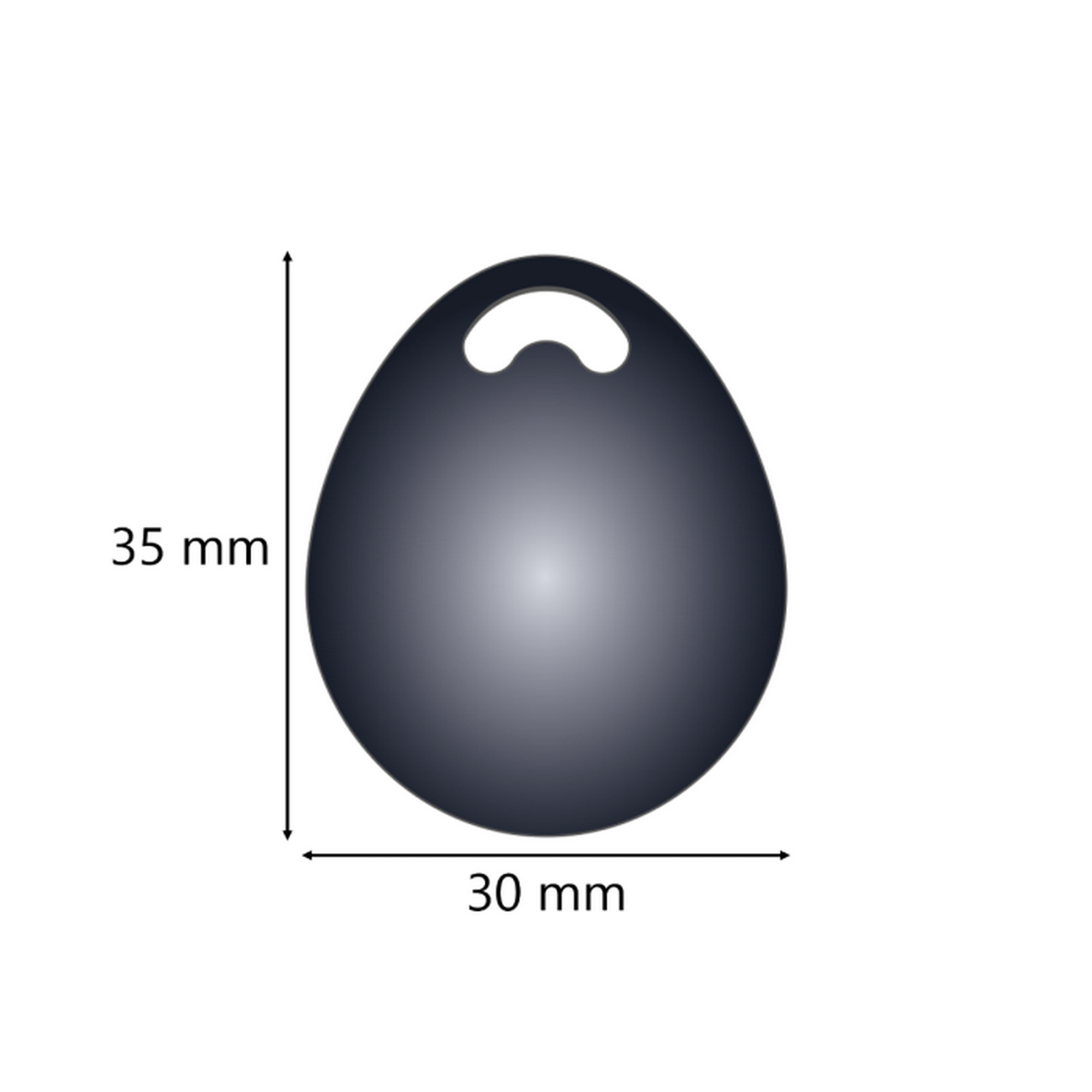 Alarm Tags / RFID Chips 'Home2 ' 2 Stück