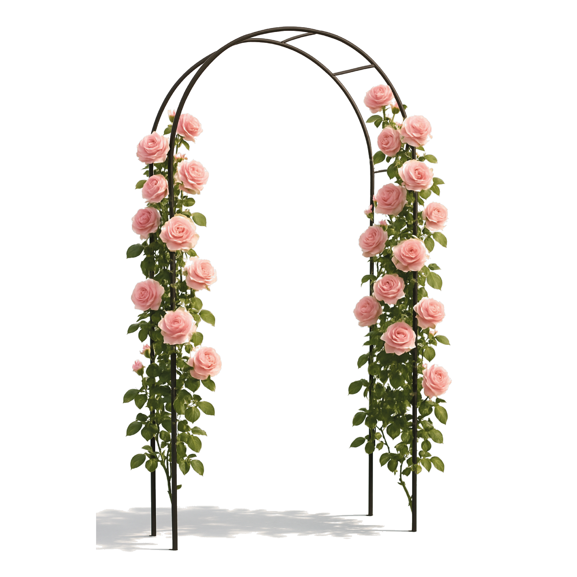 Rosenbogen 'York' 140 x 38 x 240 cm schwarz