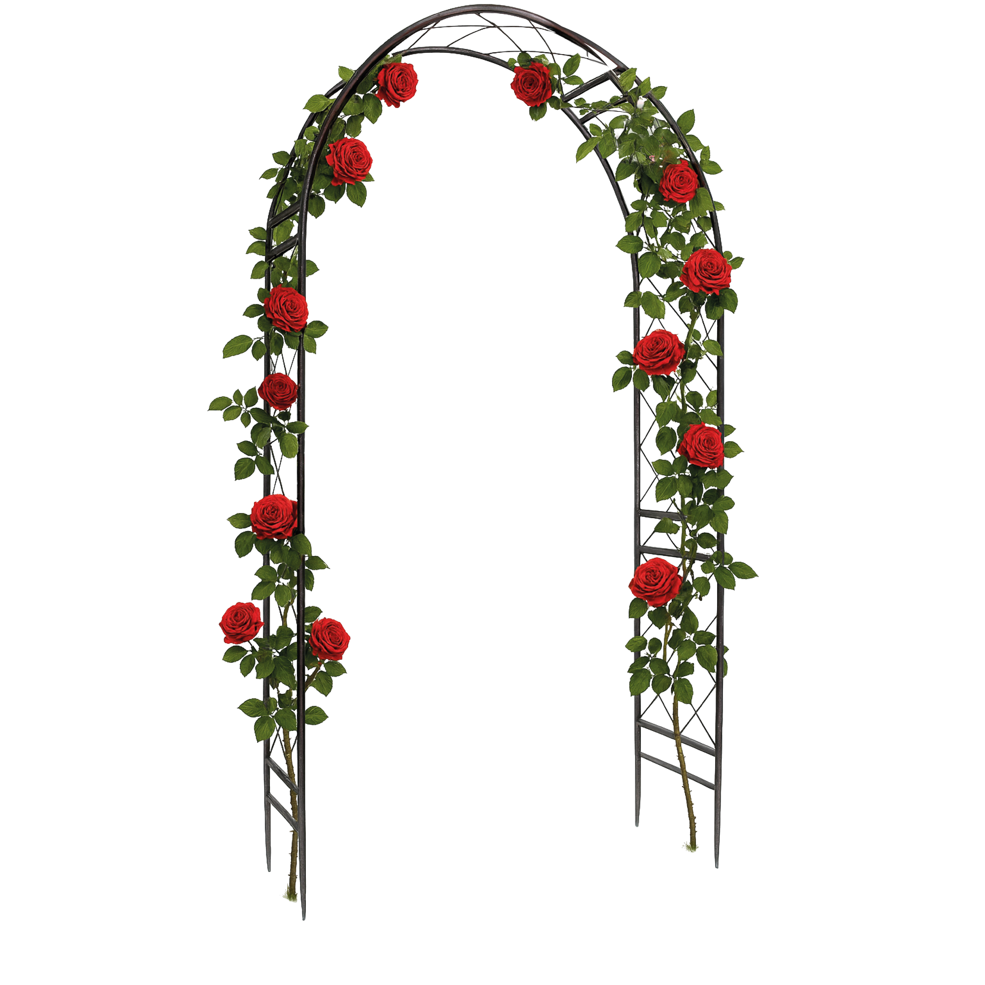 Rosenbogen 'Oxford' 124 x 36 x 238 cm schwarz